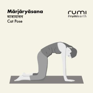 MĀRJĀRYĀSANA (CAT POSE)